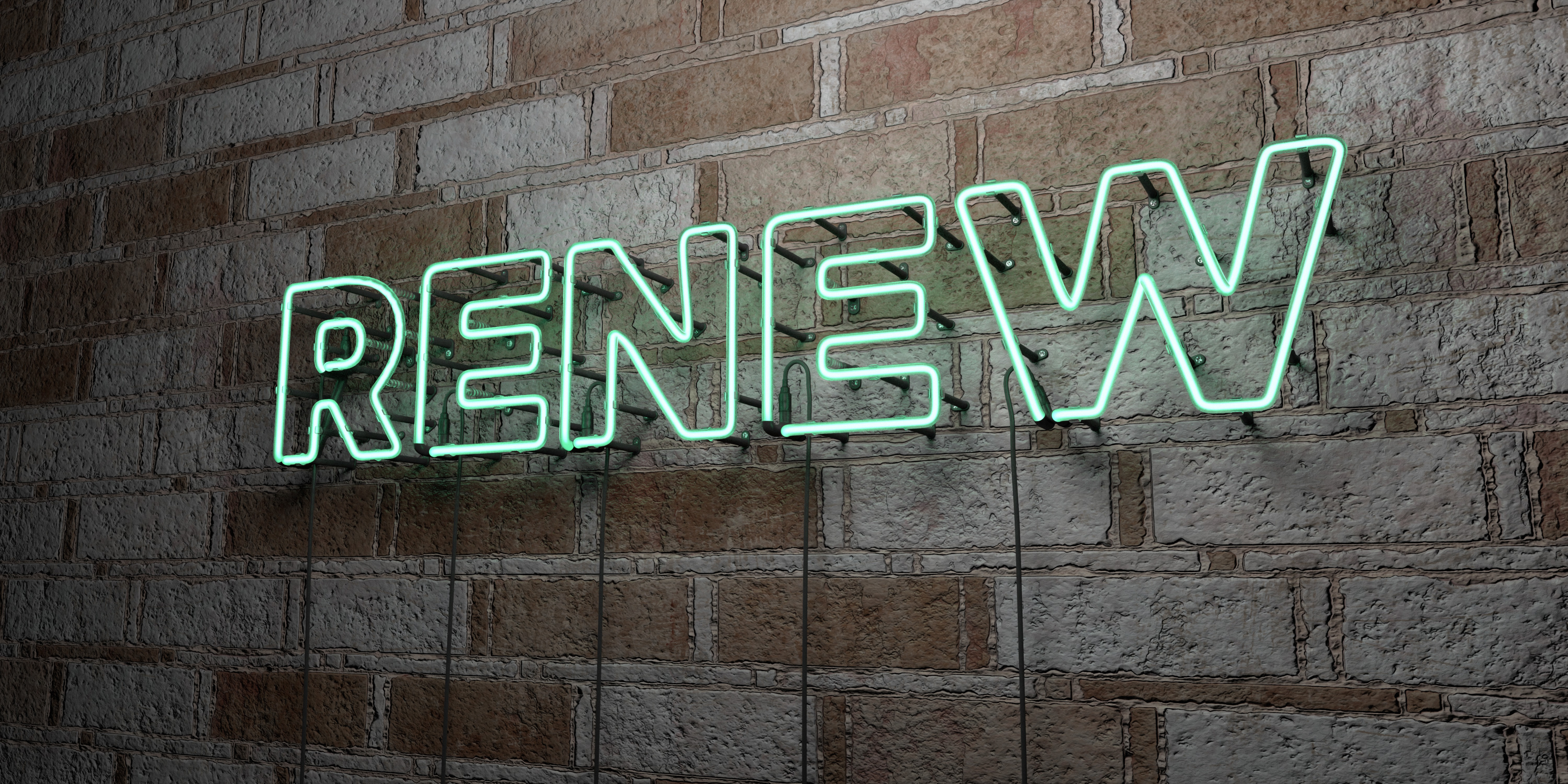Renew Your Membership!